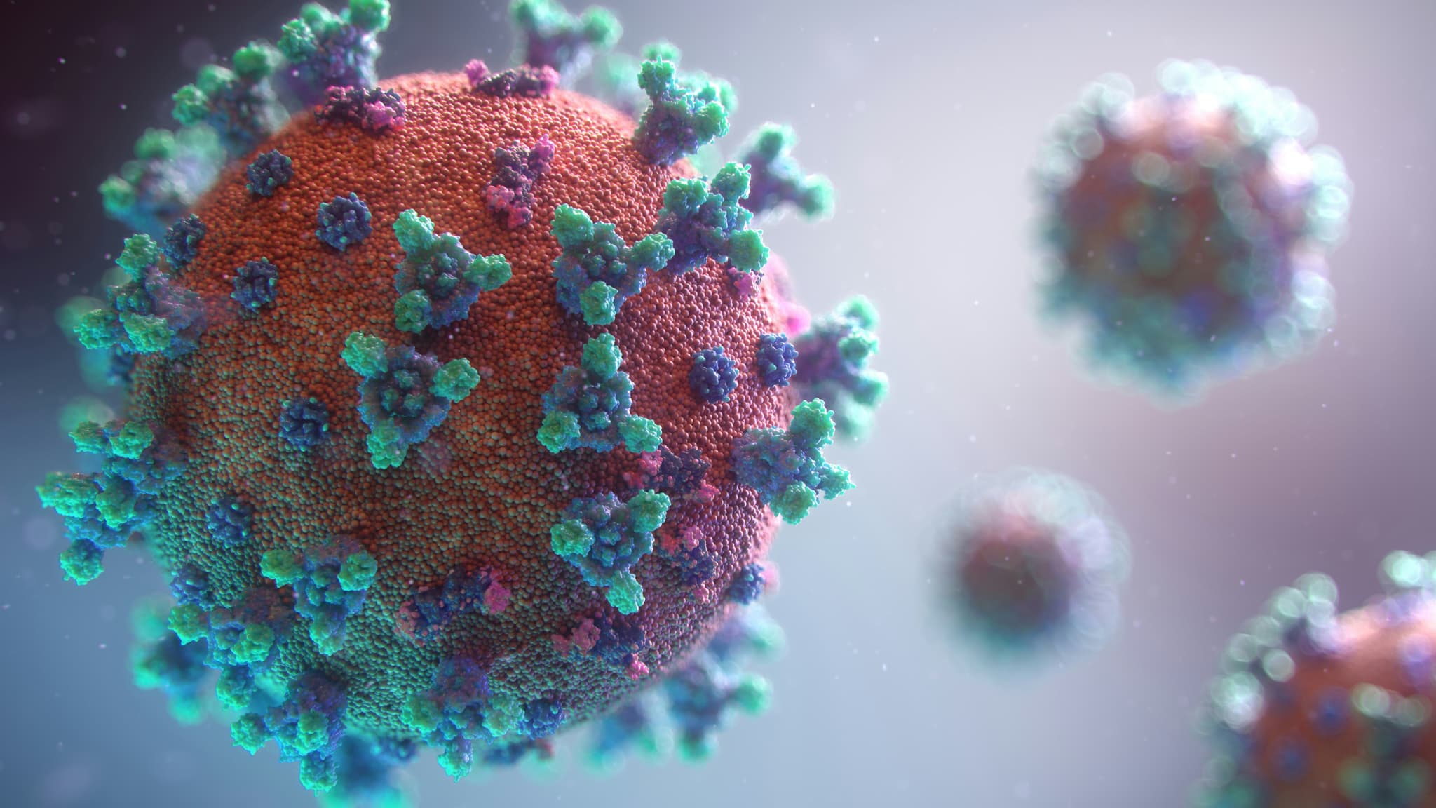 Disease modelling visualization
