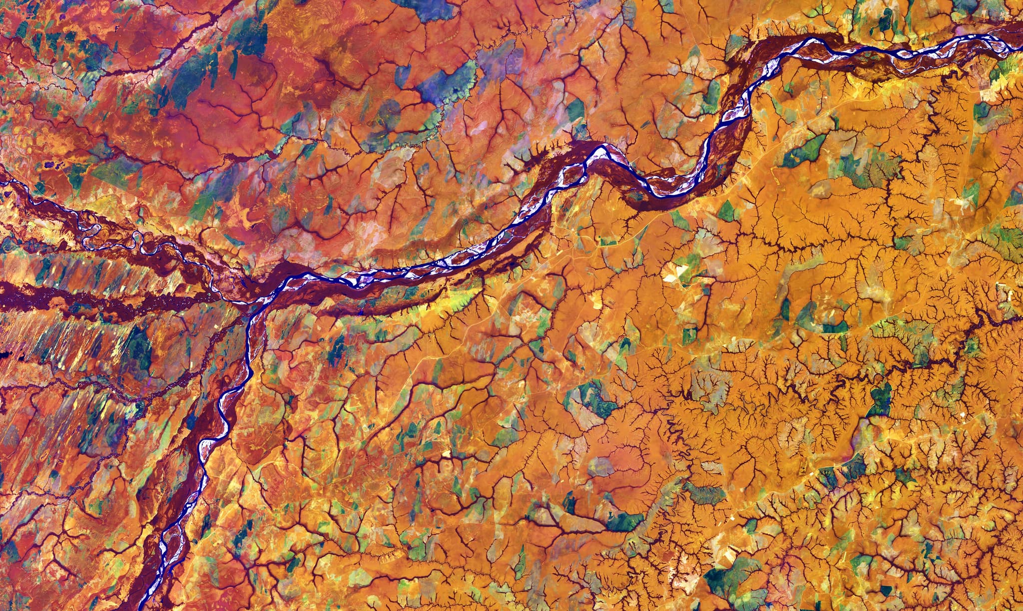Ecological niche model